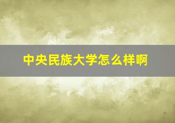 中央民族大学怎么样啊