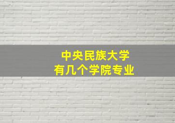 中央民族大学有几个学院专业