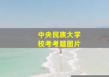 中央民族大学校考考题图片