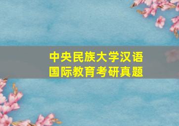 中央民族大学汉语国际教育考研真题