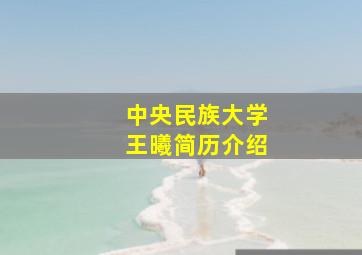 中央民族大学王曦简历介绍