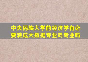 中央民族大学的经济学有必要转成大数据专业吗专业吗