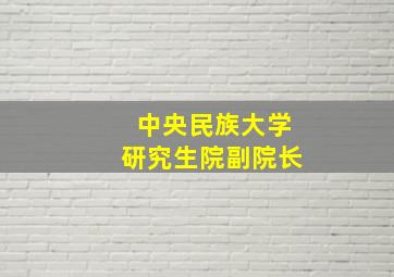 中央民族大学研究生院副院长