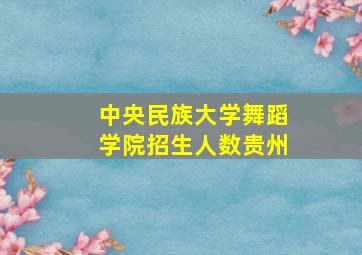 中央民族大学舞蹈学院招生人数贵州