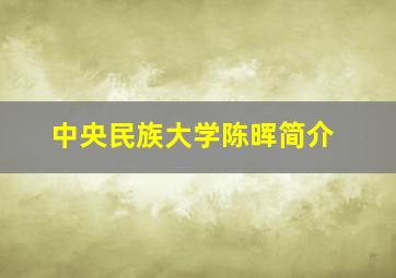 中央民族大学陈晖简介