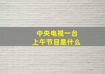 中央电视一台上午节目是什么