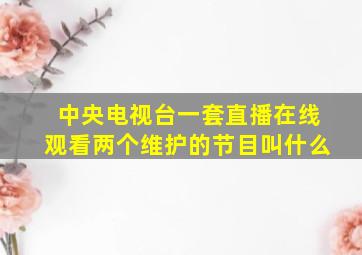 中央电视台一套直播在线观看两个维护的节目叫什么