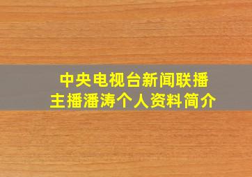 中央电视台新闻联播主播潘涛个人资料简介