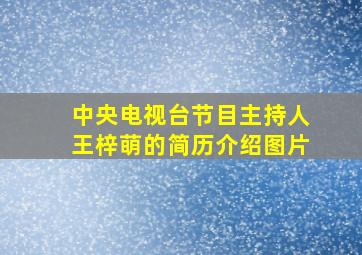 中央电视台节目主持人王梓萌的简历介绍图片