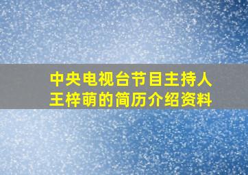 中央电视台节目主持人王梓萌的简历介绍资料