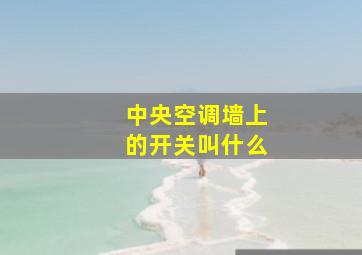 中央空调墙上的开关叫什么