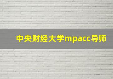 中央财经大学mpacc导师