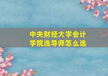 中央财经大学会计学院选导师怎么选