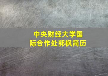 中央财经大学国际合作处郭枫简历