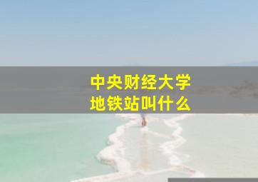 中央财经大学地铁站叫什么