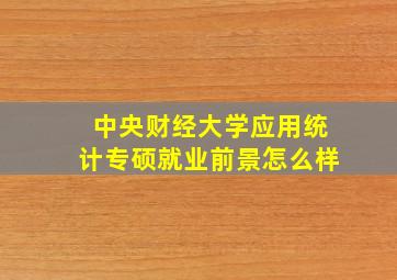 中央财经大学应用统计专硕就业前景怎么样