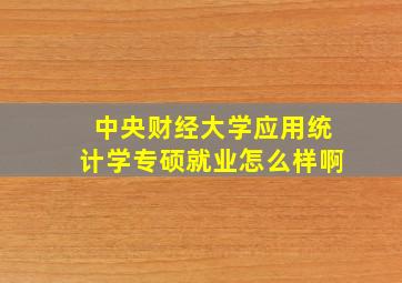 中央财经大学应用统计学专硕就业怎么样啊