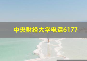 中央财经大学电话6177