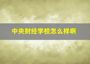 中央财经学校怎么样啊