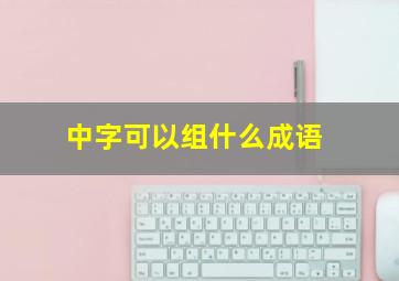 中字可以组什么成语