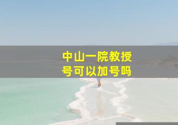 中山一院教授号可以加号吗