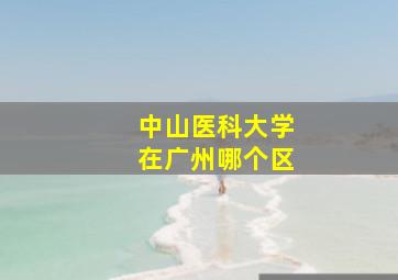 中山医科大学在广州哪个区