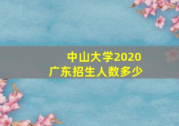 中山大学2020广东招生人数多少