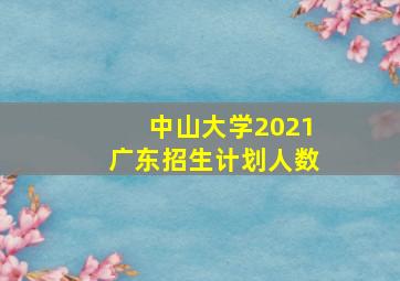 中山大学2021广东招生计划人数