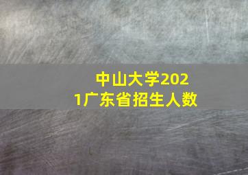 中山大学2021广东省招生人数