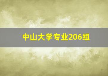 中山大学专业206组