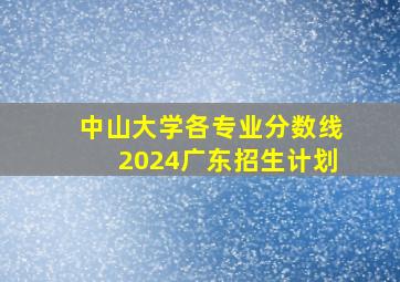 中山大学各专业分数线2024广东招生计划