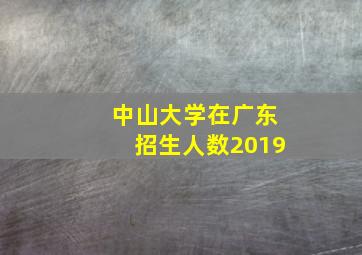 中山大学在广东招生人数2019