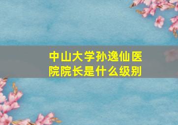 中山大学孙逸仙医院院长是什么级别