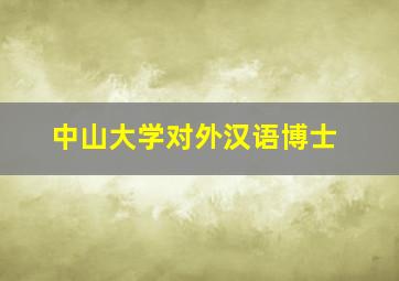 中山大学对外汉语博士