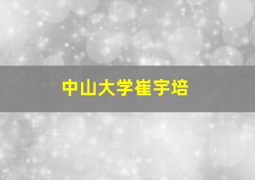 中山大学崔宇培