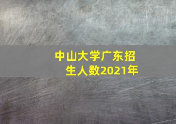 中山大学广东招生人数2021年