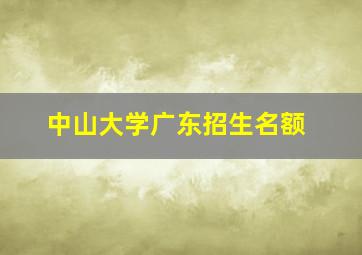 中山大学广东招生名额