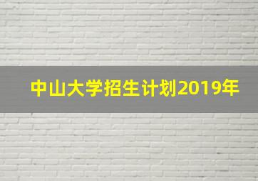 中山大学招生计划2019年