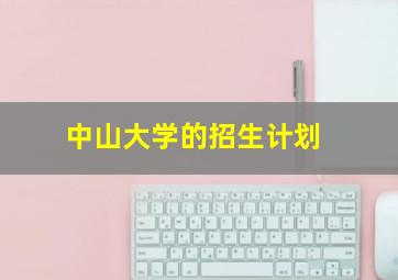 中山大学的招生计划