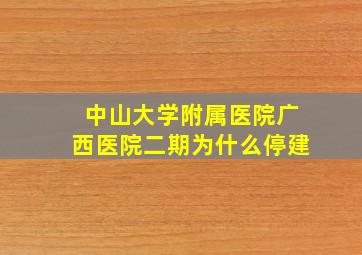 中山大学附属医院广西医院二期为什么停建