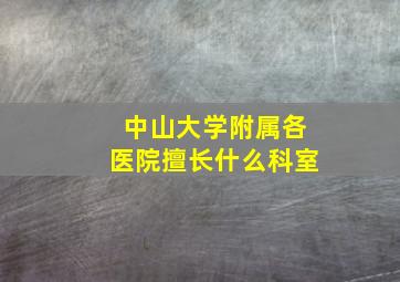 中山大学附属各医院擅长什么科室