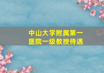 中山大学附属第一医院一级教授待遇