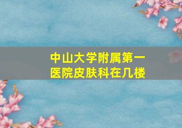 中山大学附属第一医院皮肤科在几楼