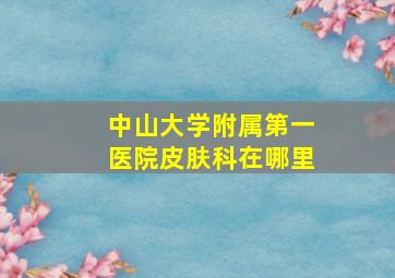 中山大学附属第一医院皮肤科在哪里