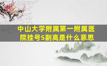 中山大学附属第一附属医院挂号S副高是什么意思