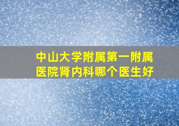 中山大学附属第一附属医院肾内科哪个医生好