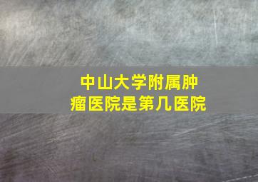 中山大学附属肿瘤医院是第几医院