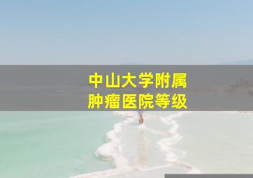 中山大学附属肿瘤医院等级