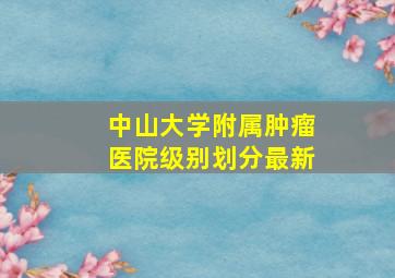 中山大学附属肿瘤医院级别划分最新