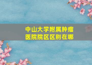 中山大学附属肿瘤医院院区区别在哪